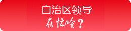 自治区领导在忙啥